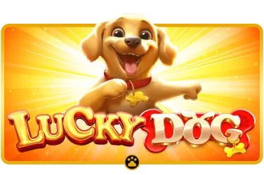 365lucky